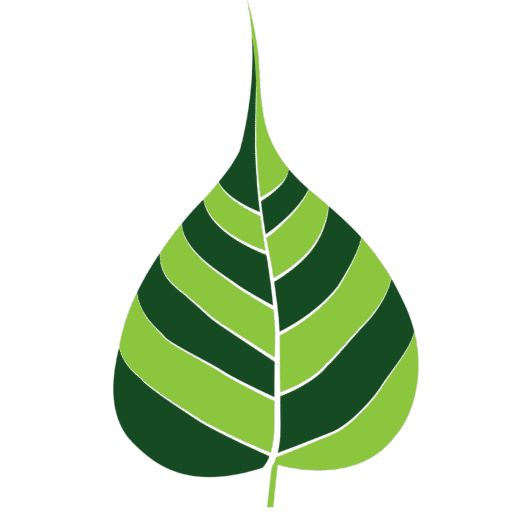 Baan Kajonkiet Nursery Pasak Logo